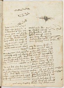 Birds Flight Code, Sheet 18 Recto